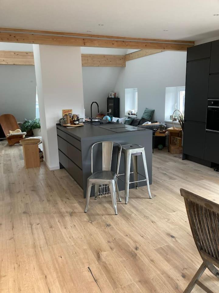 Neues Penthouse-Loft Mit Konuskarte Fuer Gratis Oepnv Apartment Ehrenkirchen Exterior photo