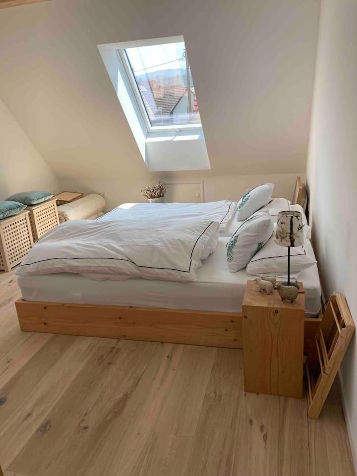 Neues Penthouse-Loft Mit Konuskarte Fuer Gratis Oepnv Apartment Ehrenkirchen Exterior photo